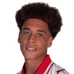 A. Witsel